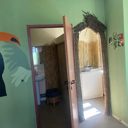 Cap Sur L'amerique Latine * Castelnau-Rivière-Basse