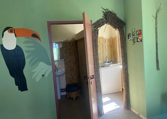 Cap Sur L'amerique Latine * Castelnau-Rivière-Basse